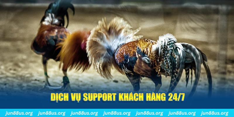 link m88 Tung Đồng Xu