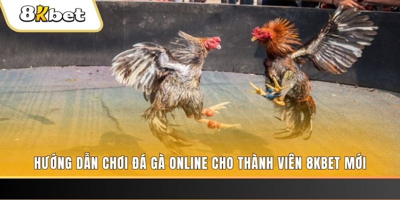 link m88 bản tự kiểm điểm cá nhân