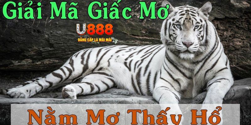 link m88 đăng nhập mậu binh miễn phí