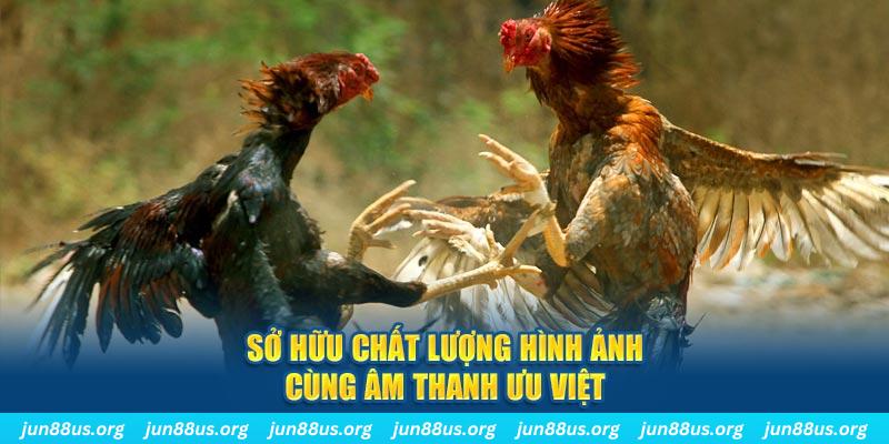 link m88 cá cược bóng đá như thế nào