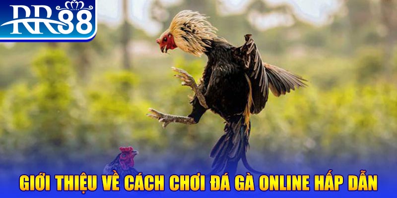 link m88 đăng nhập poker mới nhất