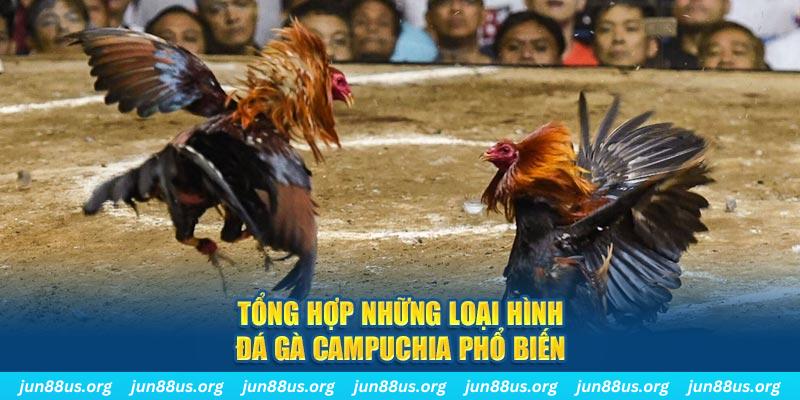 link m88 IM Thể Th
